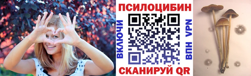 Галлюциногенные грибы MAGIC MUSHROOMS блэк спрут зеркало Сунжа