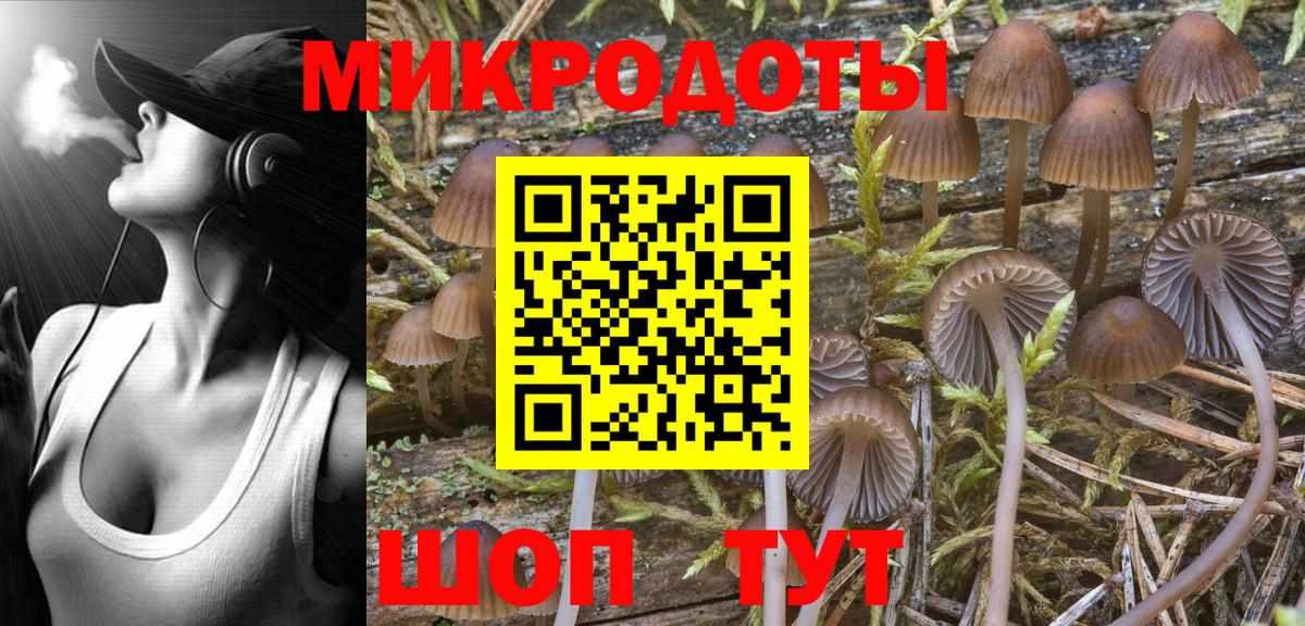 Псилоцибиновые грибы мухоморы Сунжа