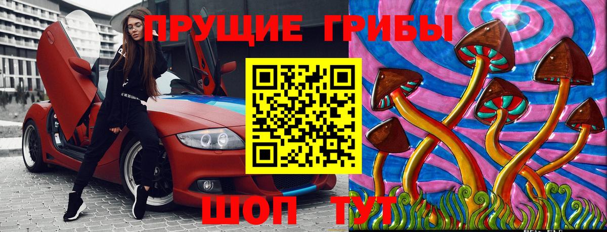 Псилоцибиновые грибы Psilocybe  Сунжа  магазин продажи   Галлюциногенные грибы Psilocybine cubensis 