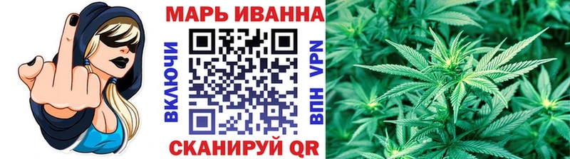 Бошки Шишки семена  Сунжа 